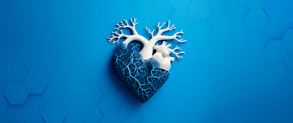 What Should You Do For A Strong Heart The Basics of Healthy Living
